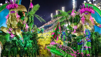 themes carnaval de rio 2023