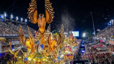 défilé beija flor carnaval de rio 2024