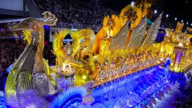 premiere soirée groupe spécial carnaval de rio 2024