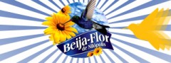 beijaflor-beijaflor.jpg