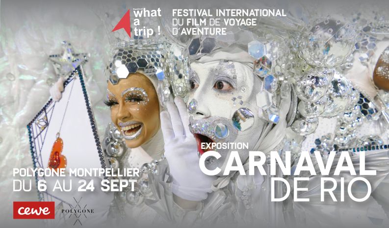 exposition carnaval de rio what a trip montpellier